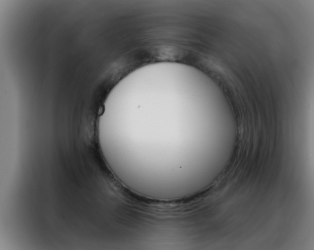X0000088490554200705221024