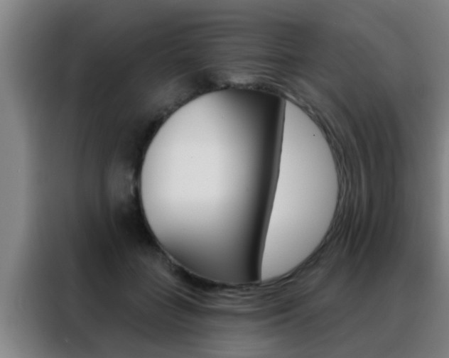 X0000088490555200705221024