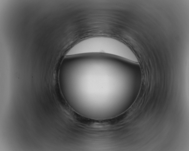 X0000088490556200705221024