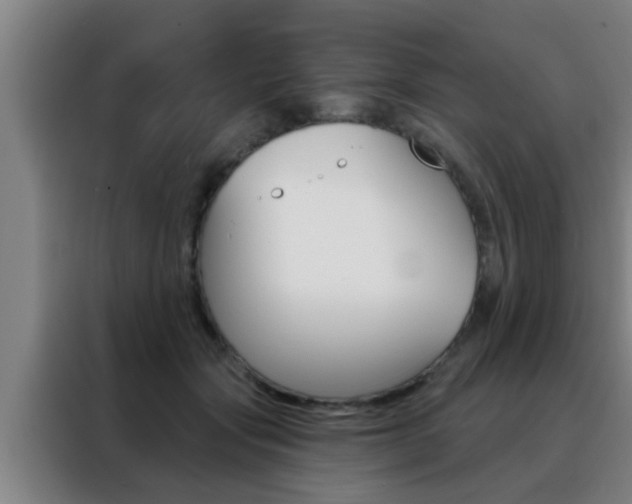 X0000088490557200705221024