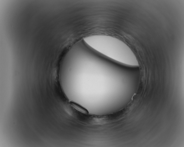 X0000088490560200705221025