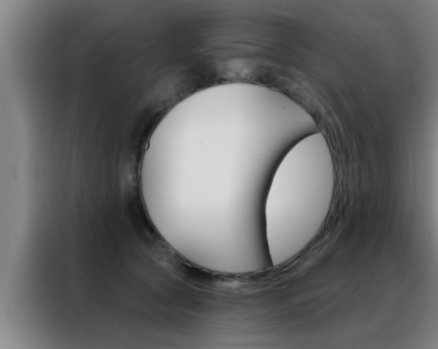 X0000088490561200705221025
