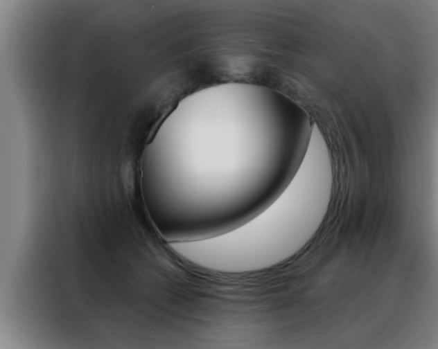 X0000088490562200705221025