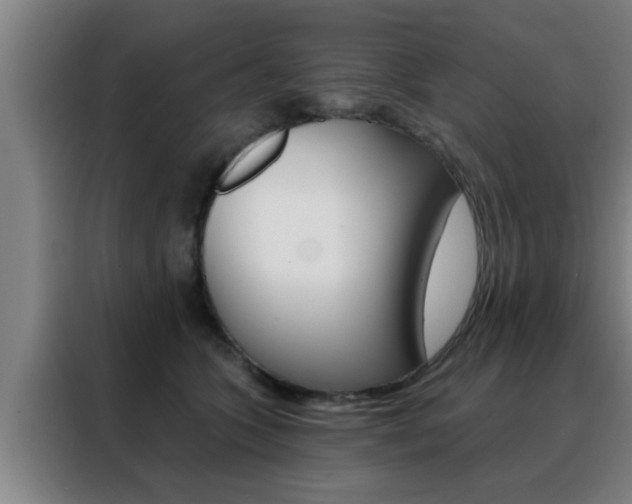 X0000088490563200705221025