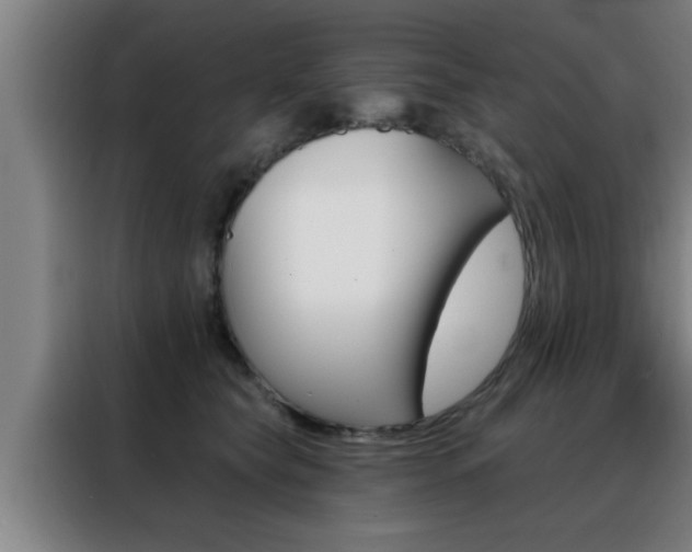 X0000088490565200705221025