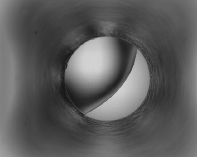 X0000088490566200705221025