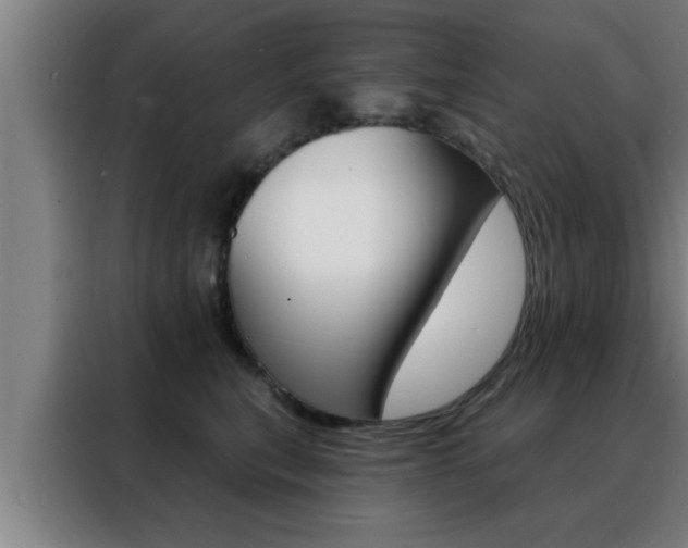 X0000088490567200705221025