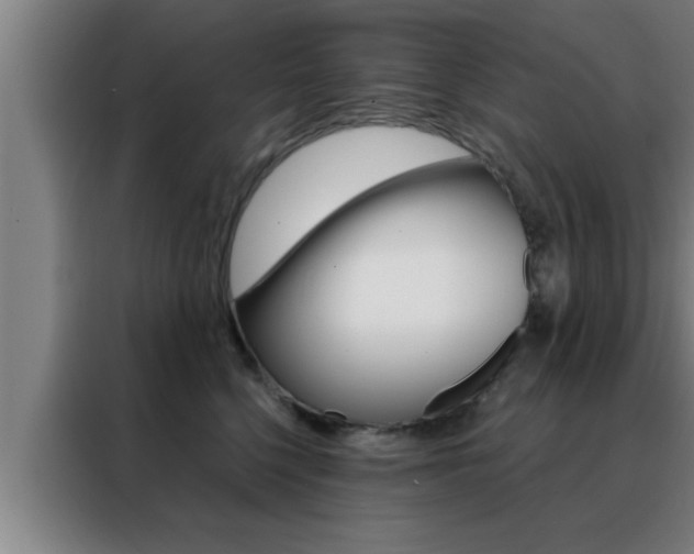 X0000088490568200705221025