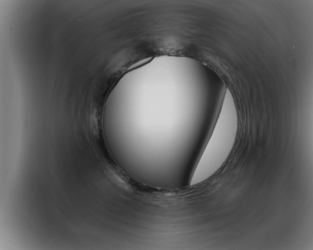 X0000088490572200705221025