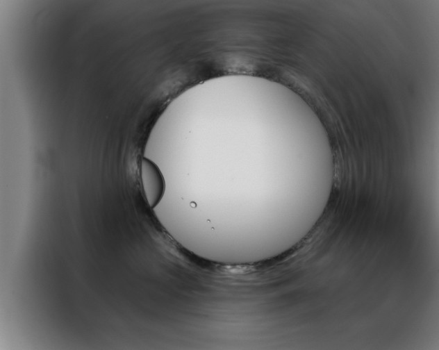 X0000088490573200705221025