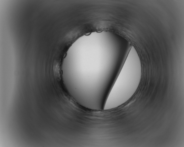 X0000088490575200705221025
