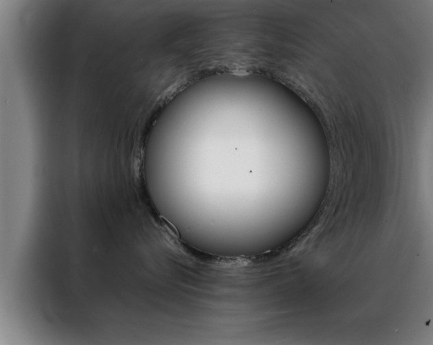 X0000088490576200705221025