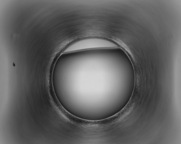 X0000088490581200705221024