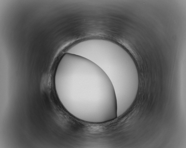 X0000088490583200705221024