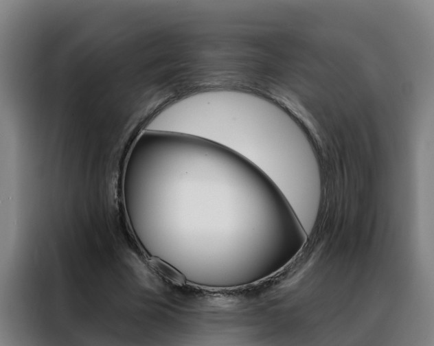 X0000088490585200705221024