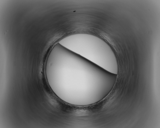 X0000088490586200705221024