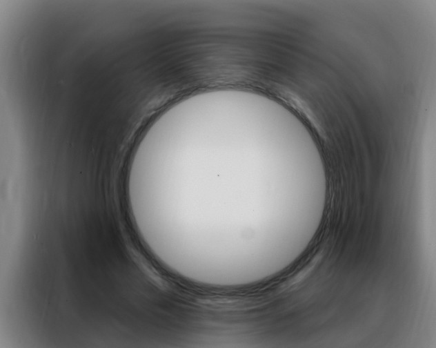 X0000088490589200705221024
