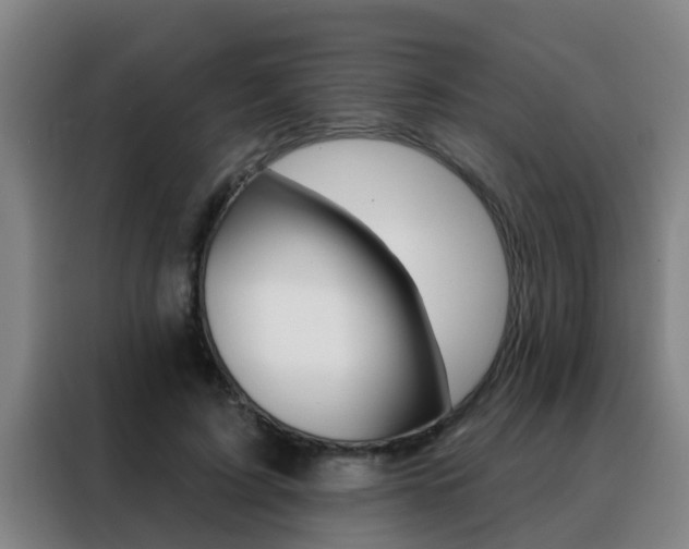 X0000088490595200705221024