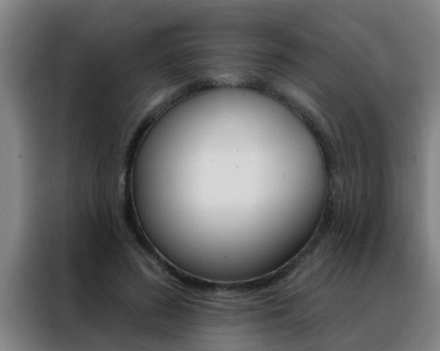 X0000088490596200705221024