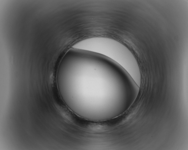 X0000088490597200705221024