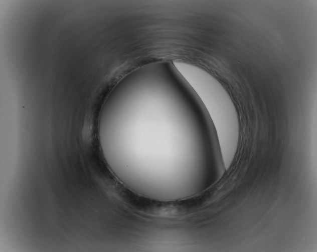 X0000088490600200705221024