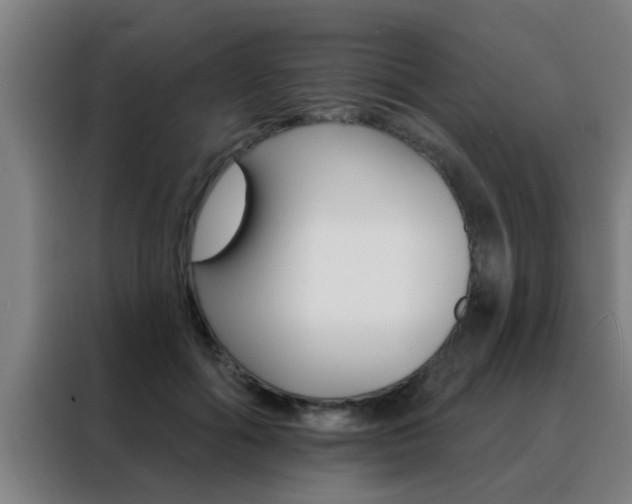 X0000088490602200705221024