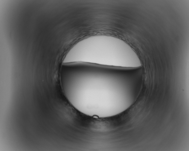X0000088490608200705221024