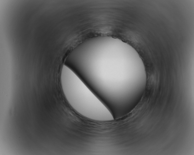 X0000088490609200705221023