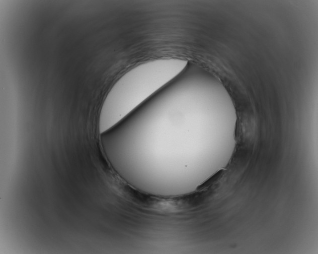 X0000088490611200705221023