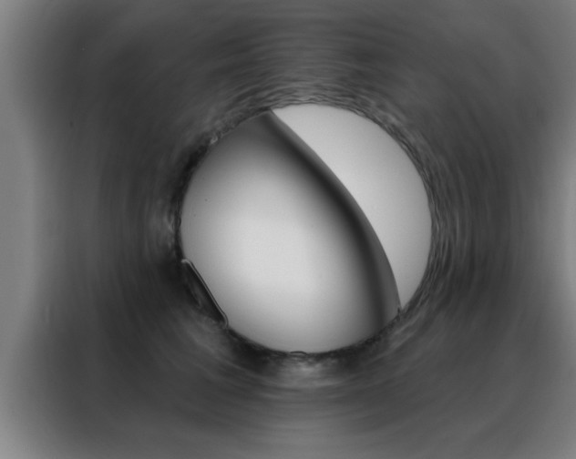X0000088490613200705221023
