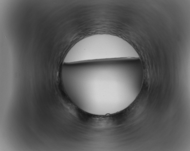 X0000088490615200705221023