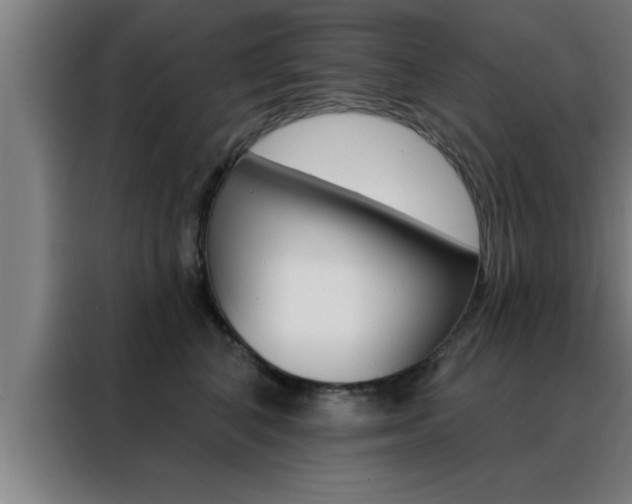 X0000088490616200705221023