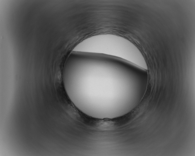 X0000088490617200705221023