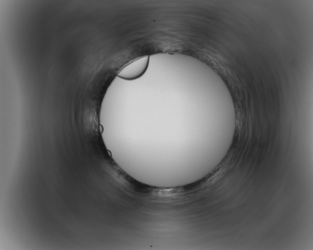 X0000088490622200705221023