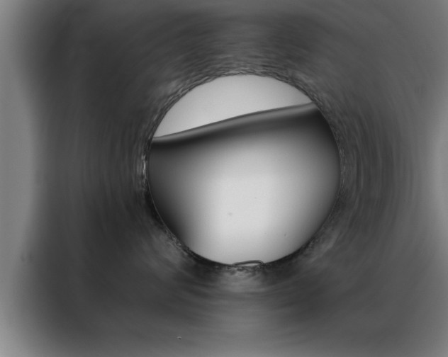 X0000088490624200705221023
