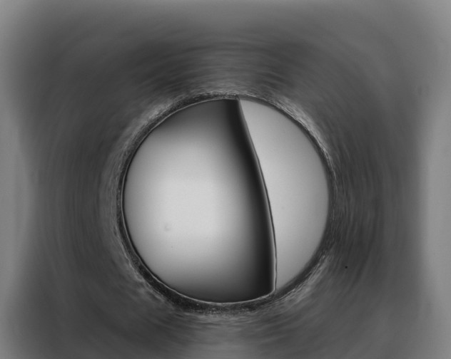 X0000088490625200705221023