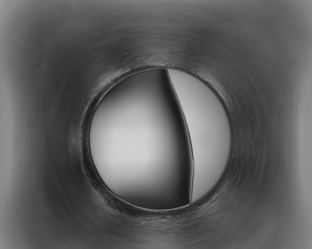 X0000088490626200705221023