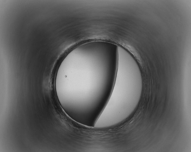 X0000088490628200705221023