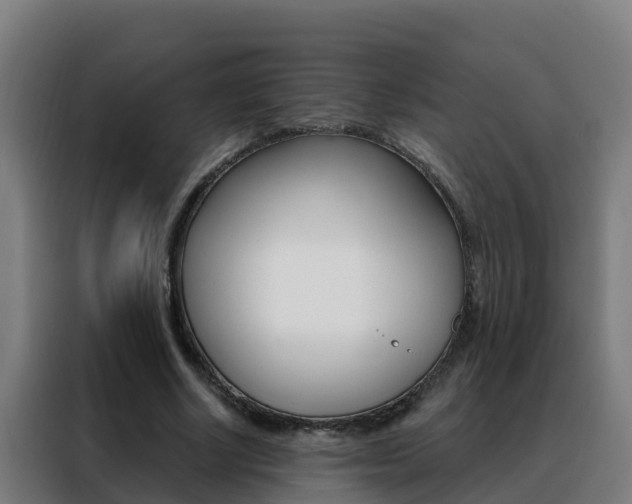X0000088490634200705221023