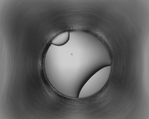 X0000088490636200705221023
