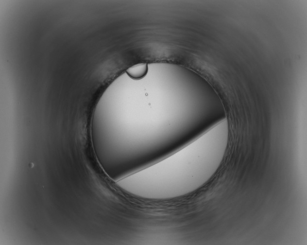 X0000088490642200705221023