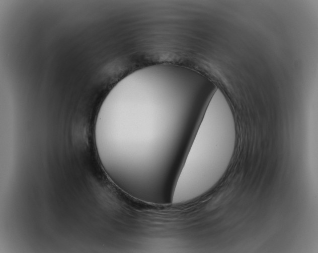X0000088490643200705221023