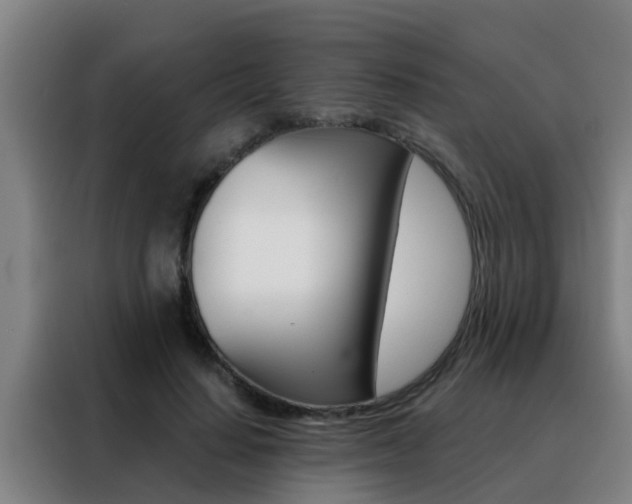 X0000088490644200705221023