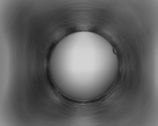 X0000088490647200705221023