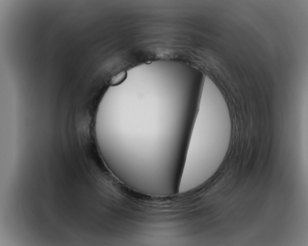 X0000088490650200705221023