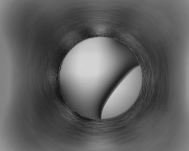 X0000088490653200705221023