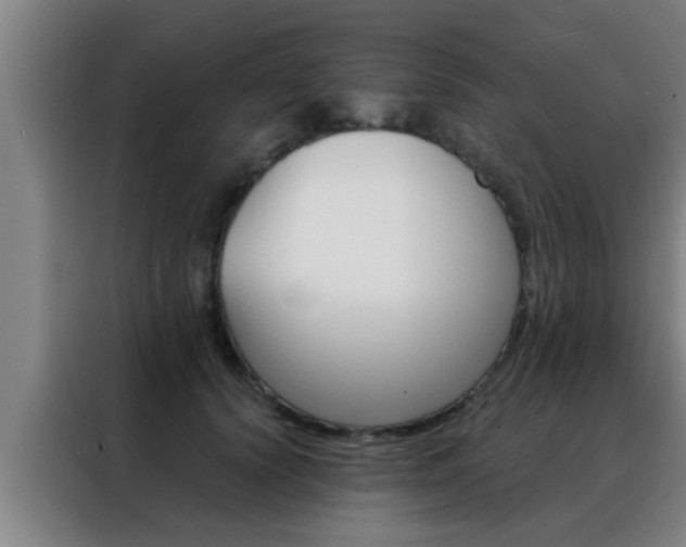 X0000088490656200705221023