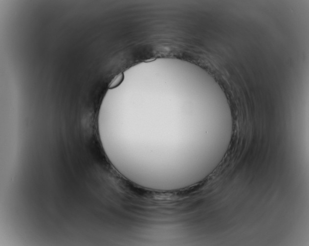 X0000088490659200705221023