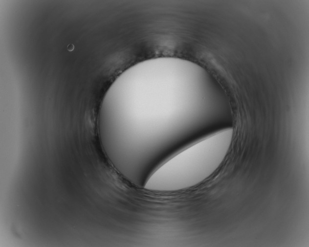 X0000088490661200705221023