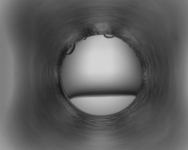 X0000088490662200705221023
